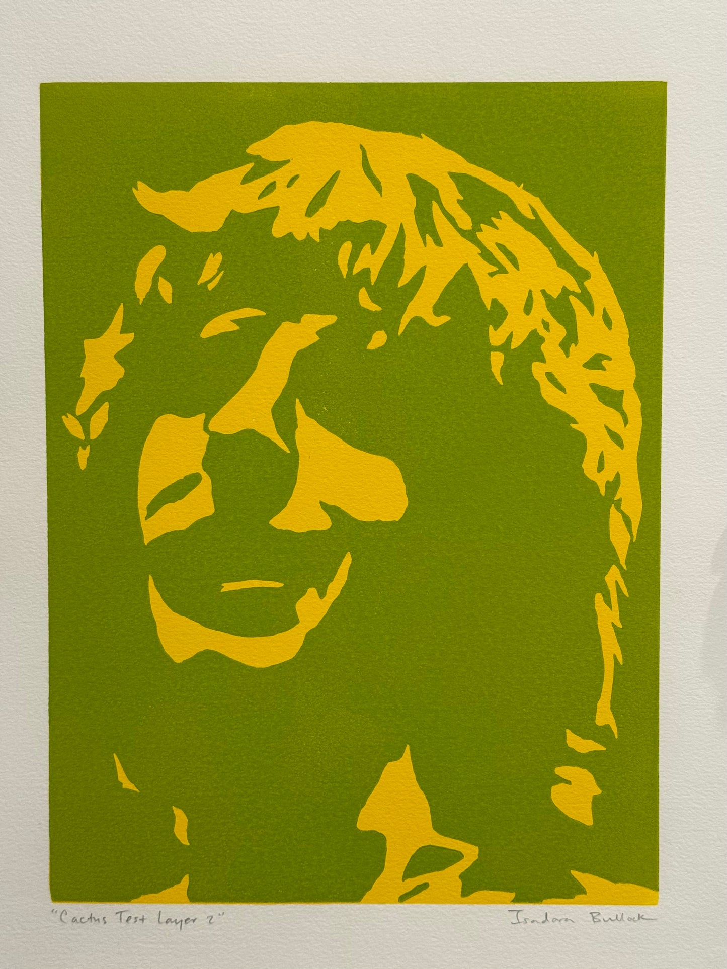 Cactus Test Print Complete Set