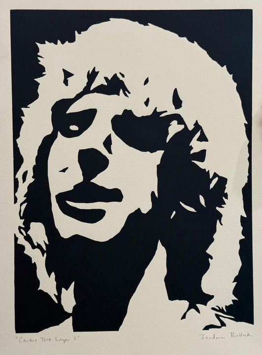 Cactus Test Print Complete Set